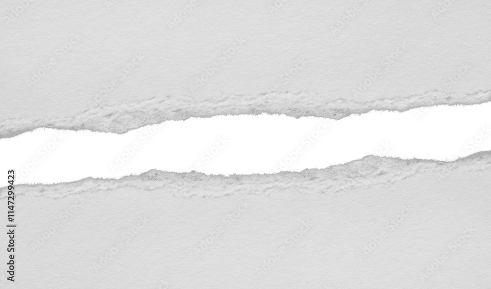 torn blank pages with uneven texture edges. set of ripped white paper ...