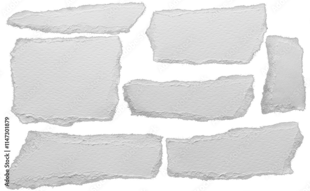 torn blank pages with uneven texture edges. set of ripped white paper ...