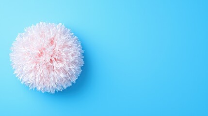 Canvas Print - Pink fluffy flower on blue background.