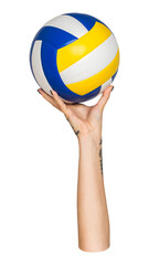 Poster - Png playing volleyball sticker, transparent background