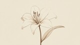 Elegant Lily Flower Line Art Drawing, Beige Background, Botanical Illustration