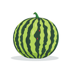 Wall Mural - A whole watermelon vector illustration isolated on a white background.