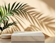 © Ali - Beige stone and a piece of grey podium tile on a beige background, a natural background with a shadow of tropical plant for your product