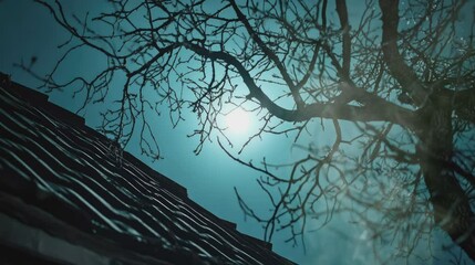 Wall Mural - the beauty of the moonlight in autumn . seamless looping time-lapse virtual video Animation Background.
