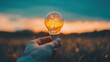 © AiiNa - Person Holding Light Bulb in Field at Sunset, Symbolizing Business Analysis and Objectives Setting
