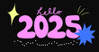 © Seiju Park - Hello 2025 New Year Greetings Text and Vector Elements Banner