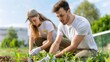 © Vilaysack - Two individuals are gardening together, focused on planting young seedlings in a lush green environment under a bright sky.