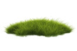 © Ian Law - A tuft of grass isolated on white as a png to be used for graphic design purposes