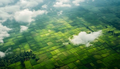 Poster - Birds_eye_view_of_rice_terraces_in_Chian