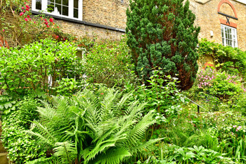 London; England - may 23 2024 : Hampstead