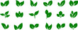 © NEVIN - Green leaf vector icons. Eco leaf logo. Simple linear leaves of trees and plants. Elements for eco friendly and bio logo,vegan. Green leaves collection. Ecology leaf element.