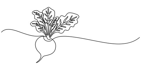Continuous line drawing whole healthy organic beetroot for plantation logo identity, Vector continuous one single line drawing icon of beetroot with leaf in silhouette on a white background. Linear. 