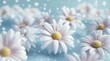 © Alfath - Delicate white daisies with falling snowflakes.