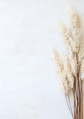 Aufkleber - Serene Grains Against Textured White Background A Minimalistic Approach to Peace