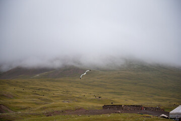 Amazing landscape of Mongolia