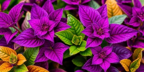 Wall Mural - Vibrant purple flower petals and leaves in a natural setting, leaves, close-up