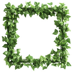 Poster - Square Green Leaf Frame