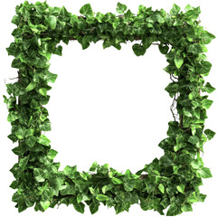 Poster - Square Green Leaf Frame