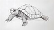 © ABC IMAGE - Simple line drawing of a turtle with a smiling face