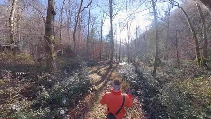 Wall Mural - Woman Approaches Creek Running Across Trail in the Smokies