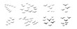 © Yanka - Birds flying line in the sky set. Ink grunge flock of birds afar brush hand drawn. markers and crayons