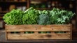 © amorn_m - Fresh Green Vegetables in Wooden Crate