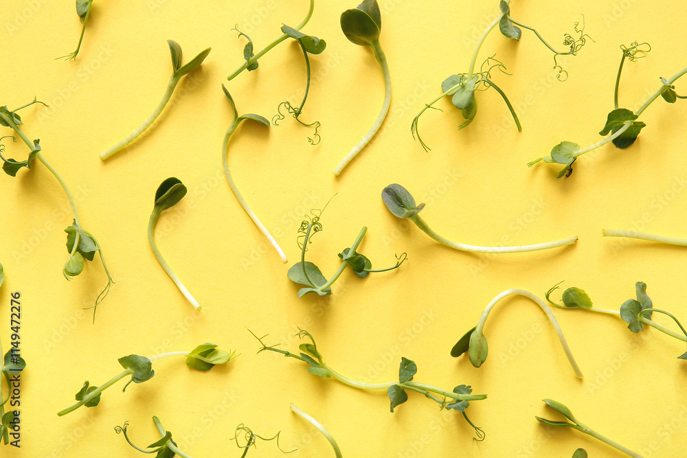 Different micro green sprouts on yellow background