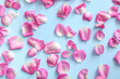 © Pixel-Shot - Many beautiful rose petals on blue background