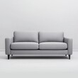 © Mayapopy - Modern Gray Sofa on Minimalist Background for Home Decor Ideas