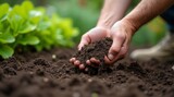 A close-up of a gardener applying organic fertilizer to rich, dark soil in a vibrant garden