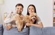 © Studio Romantic - Young smiling couple, happy family bonding with cute pet puppy at home, childfree spouses enjoy time together having fun with small pedigreed dog, home leisure activity in new modern living room sofa