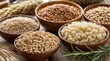 © MdShihad - A variety of whole grains including brown rice, quinoa, oats, and barley arranged in bowls, symbolizing a nutritious diet for a healthy lifestyle.