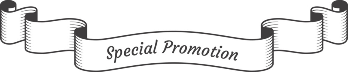 Wall Mural - vintage ribbon banner featuring elegantly curled edges, showcasing the words special promotion, evok