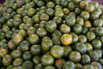 Green sweet oranges in a fruit shop are suitable for use in poster designs, or as illustrations for articles about fruits.