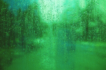 Wall Mural - wet green glass. condensation on the glass