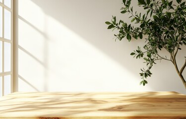 Wall Mural - Sunlight illuminates empty wooden table, plant, white wall.