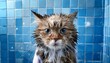 © SandraSevJarocka - Generated image Funny grumpy wet cat after shower. Cute adorable kitten is mad angry to take a bat