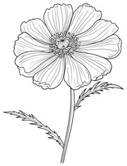 Wall Mural - PNG Wildflower art illustration drawing.