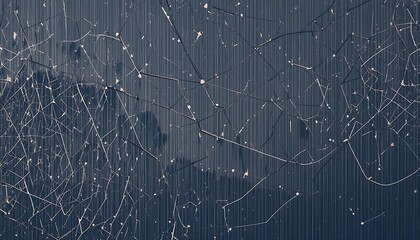 spider web with dew drops