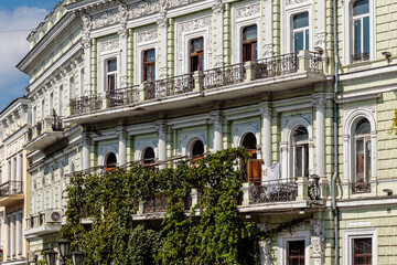 Wall Mural - A building with a green ivy growing on it