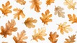 © Vikarest - seamless oak leaves texture pattern isolated on transparent background - design element PNG cutout