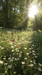 Wall Mural - Sun-dappled glade, white wildflowers, butterflies, Lepidoptera, woods