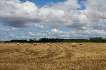 Poster - Rolls of straw.