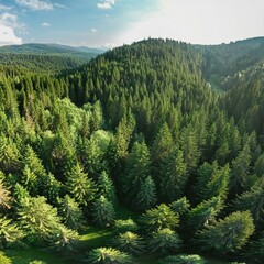  Generated image Aerial view of green forest of old spruce, fir and pine trees nature landscape