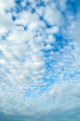 Wall Mural - picturesque blue cloudy sky landscape, sweeping blue sky background
