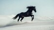 © decor - Majestic Black Stallion Galloping Across the Arabian Desert