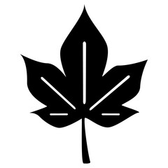 Wall Mural - silhouette of a stylized maple leaf icon with a bold black design on a transparent background, featu