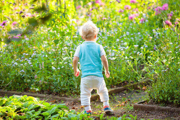 Wall Mural - Little boy in flower garden