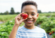 © Sandor - Smiling boy holding a ripe strawberry over his eye in a field