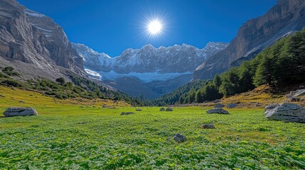 Wall Mural - Majestic mountain valley bathed in sunlight. Lush meadow stretches towards snow-capped peaks under a vibrant blue sky.